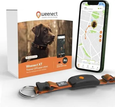 Obrázok produktu pre GPS obojok pre psov Weenect Chien XT, XL anténa, vodotesný, Julius-K9 obojok, oranžový