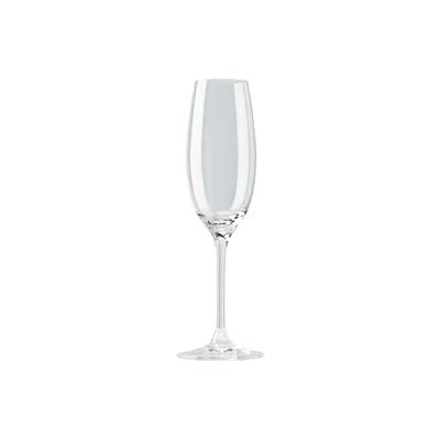 A clear, studio shot of a champagne flute on a white background.