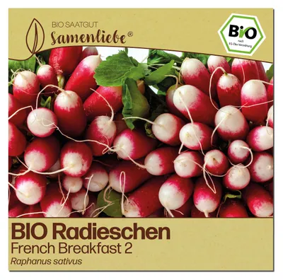 Produktbild von Samenliebe  Radieschen Samen | French Breakfast 2 - mild & lang - samenfestes  Saatgut