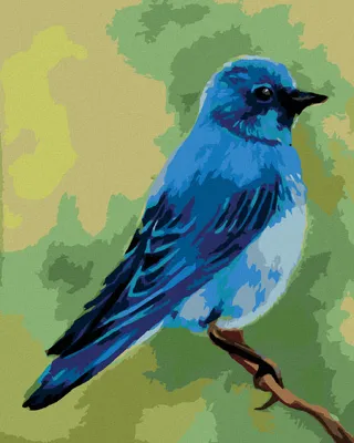 Produktbild von Zuty - Malen nach Zahlen - BLAUER VÖGELCHEN 2 (MYROSLAVA VOLOSCHUK), 40x50 cm, ohne Keilrahmen