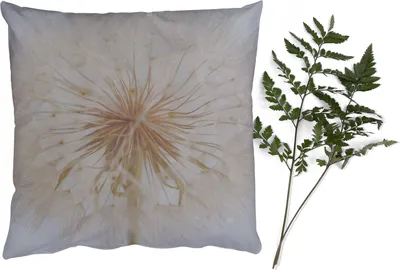 Produktbild von MuchoWow® Zierkissen Sofakissen Wohnzimmer Dekokissen 60x60 cm Blumen - Löwenzahn - Entwurf - Sitzfläche - Foto Polster