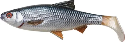 Obrázok produktu pre Savage Gear 4D LB River Roach 18cm 70g