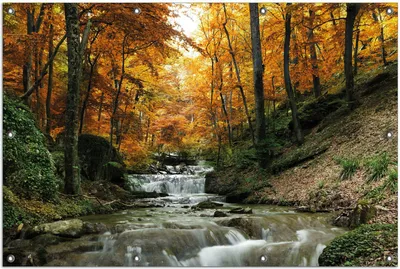 Produktbild von Wallario Outdoor-Poster für Garten oder Balkon, Motiv Kleiner Bach über Steine im Herbstwald, in ca. 100 x 150 cm