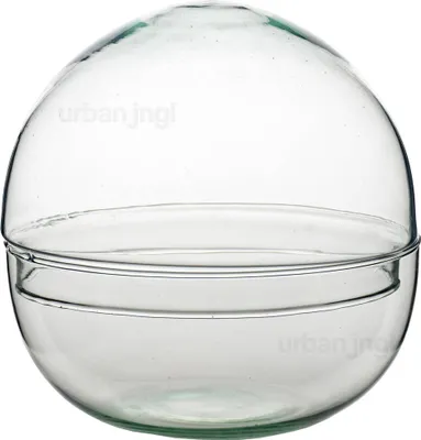 Produktbild von Kugelglas - Glasglocke - Geschlossenes Terrarium ↑20 cm