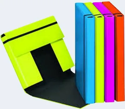 Produktbild von Pagna Sammelbox A4 Trend Gummizugverschluss sortiert