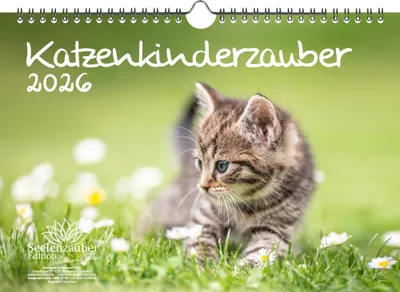 Produktbild von Katzenkinderzauber DIN A4 Kalender für 2026 Katzenkinder Katzenbabys