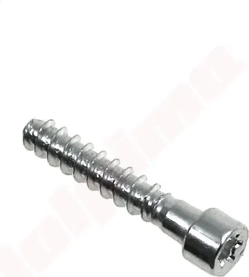 Image de Vis Stihl T27 P6X32,5 ( 9074 478 4675 )