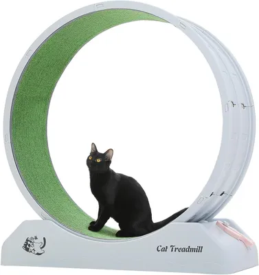 Produktbild von Purpurra Katzenrad, Laufband für Katzen, für den Innenbereich, Zimmerläufer, beugt Bewegungsmangel vor, Katzenspielzeug, geräuscharm, einfache Montage