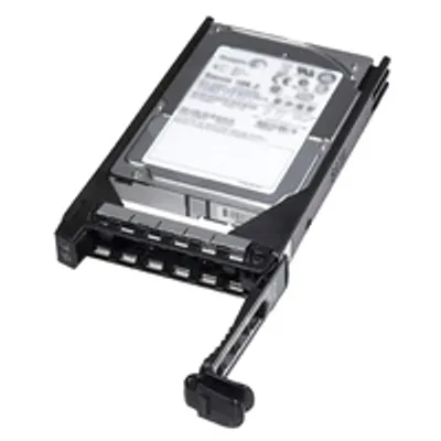 Obrázek produktu pro Dell FNW88 - 3.5 Zoll - 1000 GB - 7200 RPM