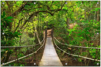 Produktbild von Wallario Outdoor-Poster für Garten oder Balkon, Motiv Hängebrücke im Urwald  grüner Dschungel, in ca. 80 x 120 cm