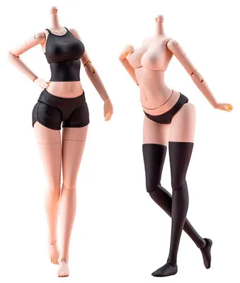Image de Kit d'accessoires Sousai Shojo Teien pour figurines, ensemble de vêtements et corps de couleur C, version L