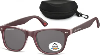 Image de ARCTICA G102D Skibrille