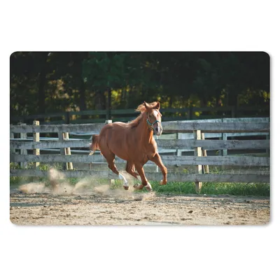 Produktbild von MuchoWow® Schreibtischunterlage Pferd - Licht - Sand 60x40 cm - XXL Mauspad - Großes Mauspad
