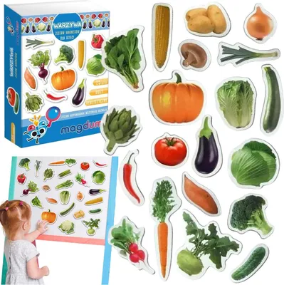 Produktbild von Magnetset Gemüse Gesunde Ernährung Leuchtende Farben Lebensmittel Mv 6032-12