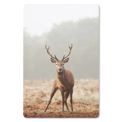 Produktbild von MuchoWow® Mauspad Mousepad Hirsche - Wald - Nebel 18x27 cm - Mousepads - Maus Mat - Pad - Mausunterlage