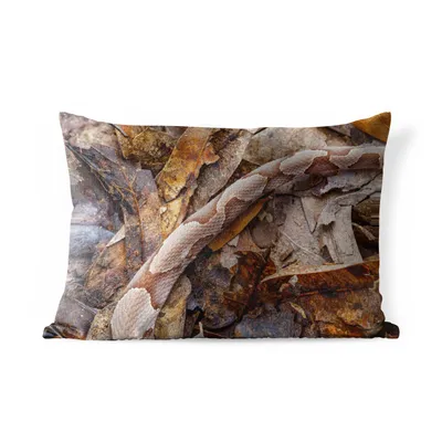 Obrázek produktu pro MuchoWow® Vnější polštář - Kamufláž - Had - Listy -50x30 cm- Odolnost proti povětrnostním vlivům - polštář do obývacího pokoje