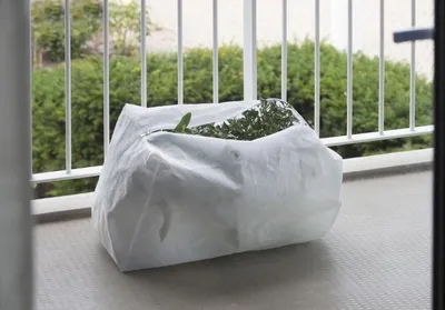 Immagine prodotto di Velo protettivo - protezione antigelo per piante con chiusura a zip bianco 25 x 55 x 35 cm - set di 3 pezzi