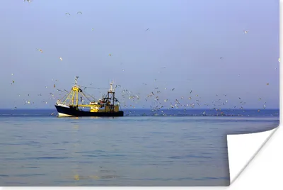 Produktbild von MuchoWow® Poster Nordsee - Fischerboot - Vogel 60x40 cm - Schlafzimmerdekoration