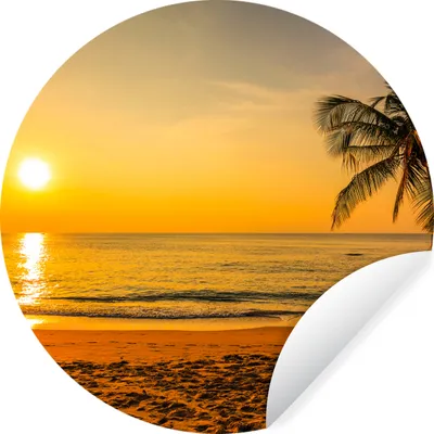 Produktbild von MuchoWow® Runde Wandtattoo - Wandsticker Tapete Aufkleber Palme - Strand - Sonnenuntergang - Meer Ø 30 cm Selbstklebend und Repositionierbar - Wandaufkleber - Kreis - Wandbild - Fototapete - Selbstklebend - Dekoration - Wandschmuck - Schlafzimmer