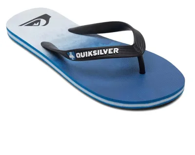 Obrázek produktu pro Žabky Quiksilver AQYL101242_BYJ2 pro Pánské