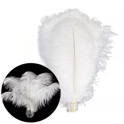 Obrázok produktu pre Pštrosie perie, cca 20-30 cm, 20 kusov, biele