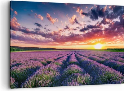 Produktbild von Bild auf Leinwand - Leinwandbild - Lavendel Berge Feld - 120x80cm - Wand Bild - Wanddeko - Leinwanddruck - Bilder - Kunstdruck - Wanddekoration - Leinwand bilder - Wandkunst - AA120x80-3816
