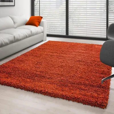 Productafbeelding van Ayyildiz Hoogpolig tapijt Terracotta 240x340 cm Shaggy Vloerkleed Zacht en 30 mm voor Woonkamer en Slaapkamer