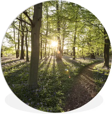 Produktbild von MuchoWow® Rundes Wandbild - Runde Bilder Wald - Baum - Sonne Ø 30 cm Kreis Wanddekoration Kunststoff - Wandkreis - Wandschmuck - Schlafzimmer - Bilder - Der Kreis - Kunst für die Wohnung - Plastik - Kunstdruck - Wandbild