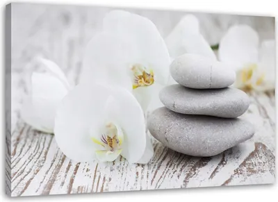 Produktbild von Leinwandbild weiße orchidee und steine 90x60 cm Feeby grau wandbild bereit zum aufhängen