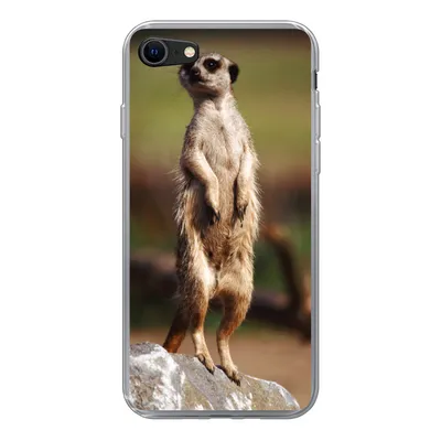 Produktbild von MuchoWow® Handyhülle Schutzhülle Hülle für iPhone SE 2022 Erdmännchen - Tier - Spiel Silikon Softcase Handy Hülle - Schutzhülle