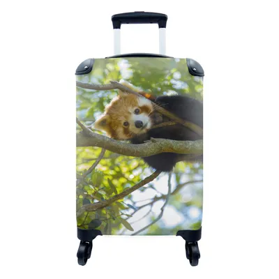 Obrázek produktu pro Kufr Příruční zavazadlo na kolečkách Malý cestovní kufr na 4 kolečkách Panda - červená - zblízka - Velikost kabiny < 55x40x23 cm a 55x40x20 cm -