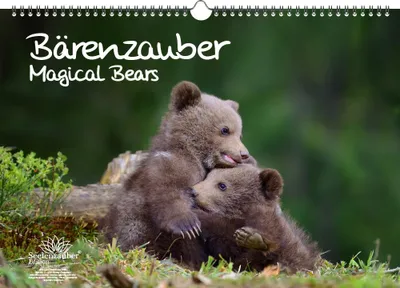 Produktbild von Bärenzauber Immerwährender Kalender DIN A3 Bären - Seelenzauber