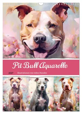 Produktbild von Pit Bull Aquarelle. Illustrationen von tollen Hunden (Wandkalender 2027 DIN A3 hoch), CALVENDO Monatskalender