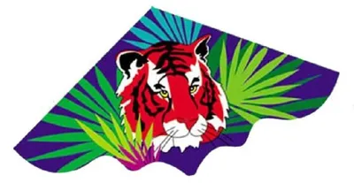 Produktbild von RAPPA Fliegender Tiger Drache 120 x 61 cm