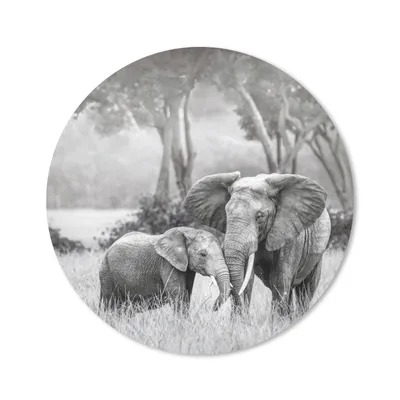 Produktbild von MuchoWow® Mauspad Mousepad Elefant - Tiere - Natur - Schwarz und weiß 20x20 cm - Mousepads - Maus Mat - Pad - Mausunterlage - Schreibtischmatte