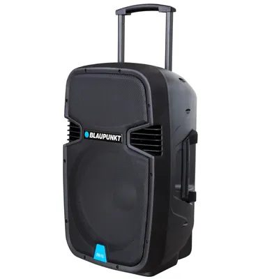 Zdjęcie produktu dla Blaupunkt PA15, Cyfrowy, FM, Gracz, MP3, WMA, LCD, Czarny, Niebieski