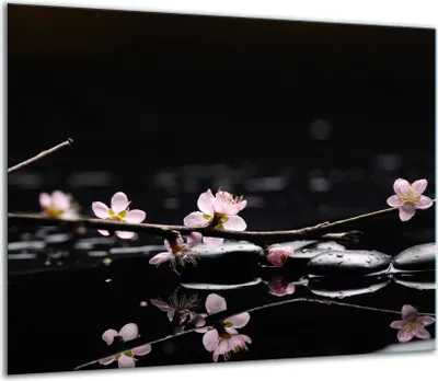 Obrázok produktu pre Kryt varnej dosky Keramický kryt varnej dosky Splashback sklo 60x52cm kvet čierny