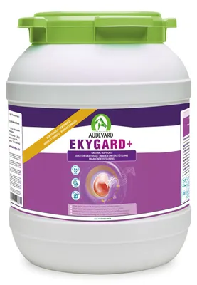 Produktbild von Audevard Ekygard+ 14 kg | Dreifach Schutz des Pferdemagens