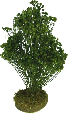 Produktbild von Busch, Strauch aus Naturmaterial für Weihnachtskrippe. Krippenbotanik. 14-16 cm