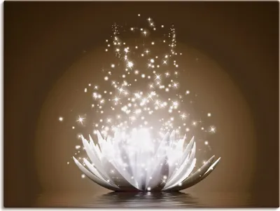Produktbild von ARTland Leinwandbild Magie der Lotus-Blume Größe: 80x60 cm