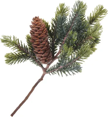 Produktbild von Tannen Zweig mit einem Zapfen, L 24 cm