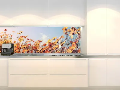 Zdjęcie produktu dla Dimex fototapety do kuchni, samoprzylepne KI-180-123 Wiosenna łąka 60 x 180 cm