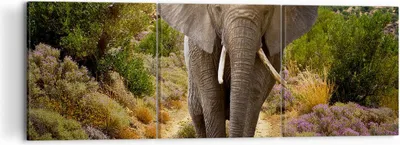 Produktbild von Bild auf Leinwand - Leinwandbild - Tiere Afrika Elefanten Spaziergang - 120x40cm - Wand Bild - Wanddeko - Leinwanddruck - Bilder - Kunstdruck - Leinwand bilder - Wandkunst - CA120x40-2708