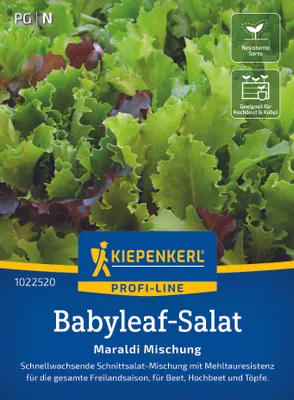 Produktbild von Kiepenkerl Babyleaf-Salatsamen Maraldi 1 - 2 m²