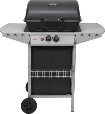 Image de Gril à gaz 5,5 kW, 2 brûleurs, acier 97,3 × 53 × 102 cm