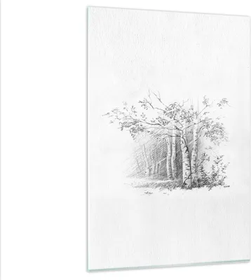 Produktbild von Bilder auf glas - Einteilig - Skizze Wald Birke - 80x120cm - Glasbilder - Wandbilder - Bilder - zum Aufhängen bereit - Wanddekoration aus Glas - Glas Bilder - Wandbild auf Glas - GPA80x120-4280