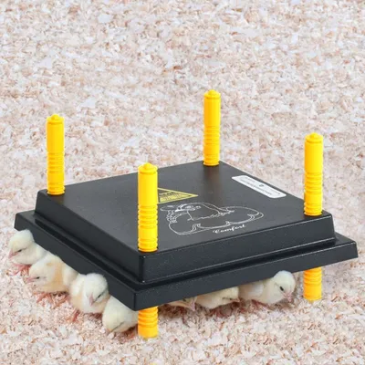 Zdjęcie produktu dla vidaXL Płyta grzewcza dla piskląt i kacząt 25x25 cm