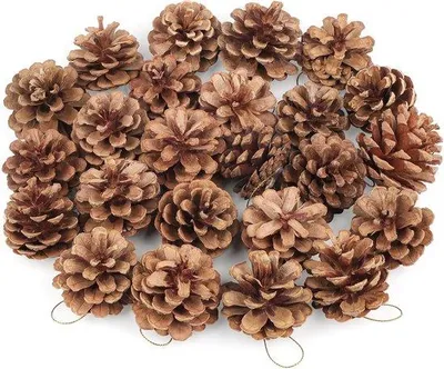 Productafbeelding van 24 dennenappels voor knutselwerk, 5 cm met gouden koord, dennenappels voor kerstboom, winterdecoratie