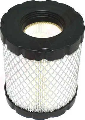 Image de Filtre à air Pour B&S ( 798897 )