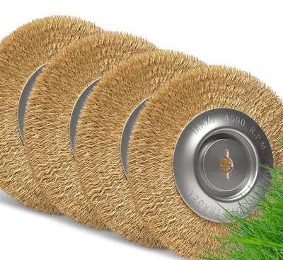 Productafbeelding van Voegenborstel - Reserveborstel - Ø 100 mm - Messingdraad - Set van 4
